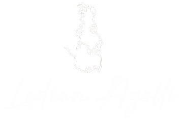 Ledian Agolli